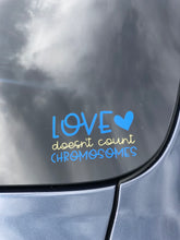 Load image into Gallery viewer, Love Doesn&#39;t Count Chromosomes Decal